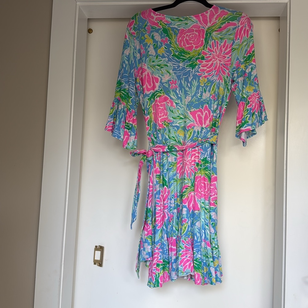 Lilly Pulitzer Kassi Ruffle Dress - Picture 7 of 8